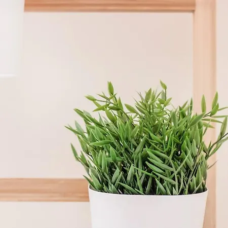 Sea Side By Algarstays * Armação de Pêra