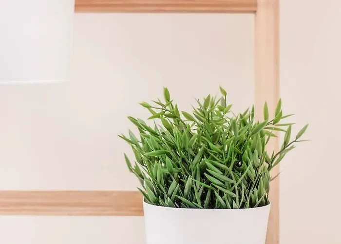 Sea Side By Algarstays * Armação de Pêra